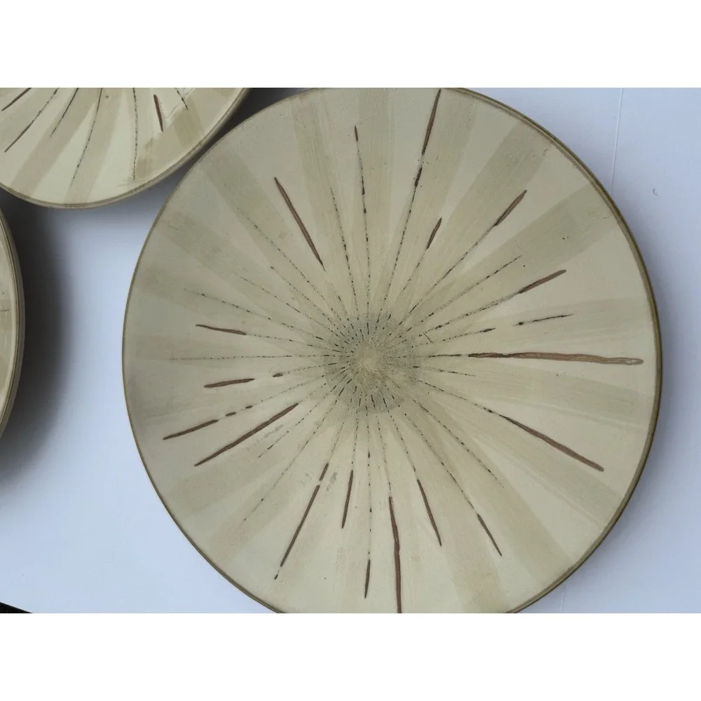 Pier 1 Sanctuary Ceramic Stoneware Dinner Plates Set Of 5 Starburst